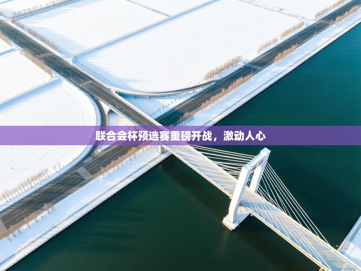 爱游戏平台官网入口-联合会杯预选赛重磅开战，激动人心  第2张