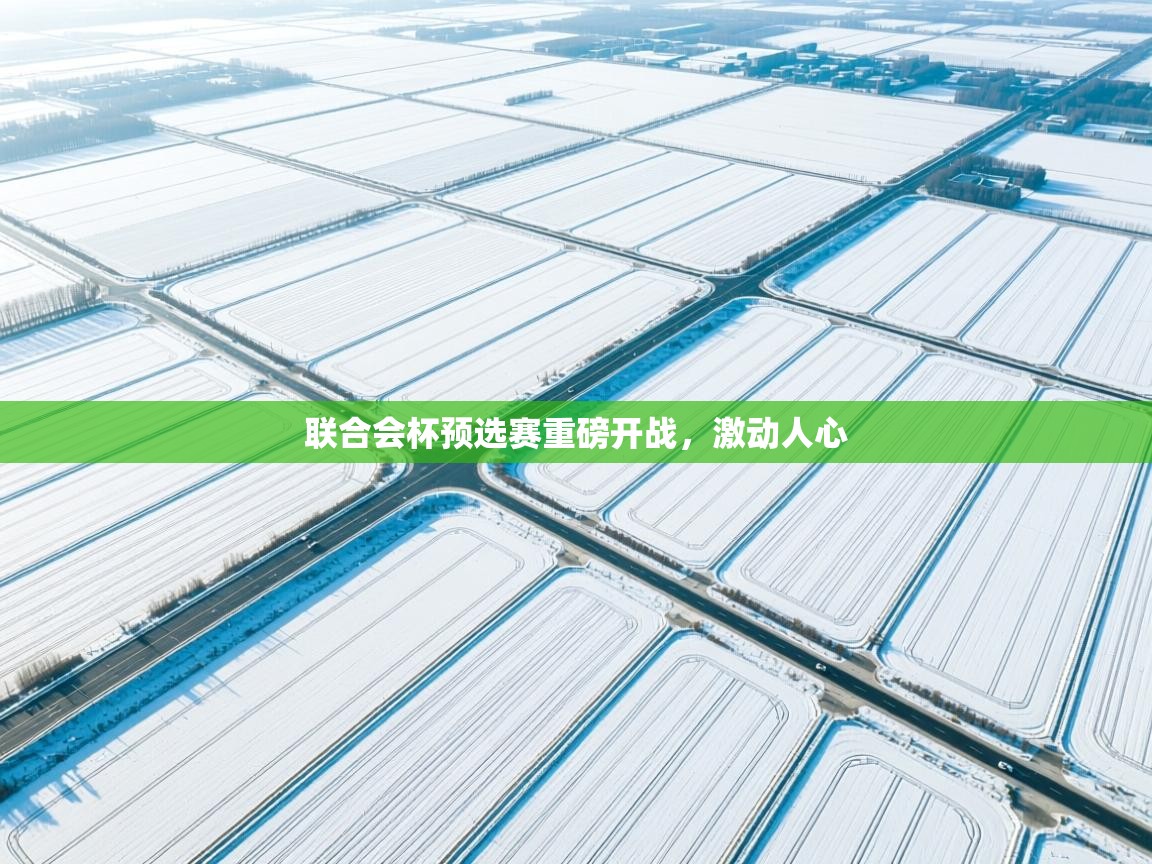 爱游戏平台官网入口-联合会杯预选赛重磅开战，激动人心  第3张