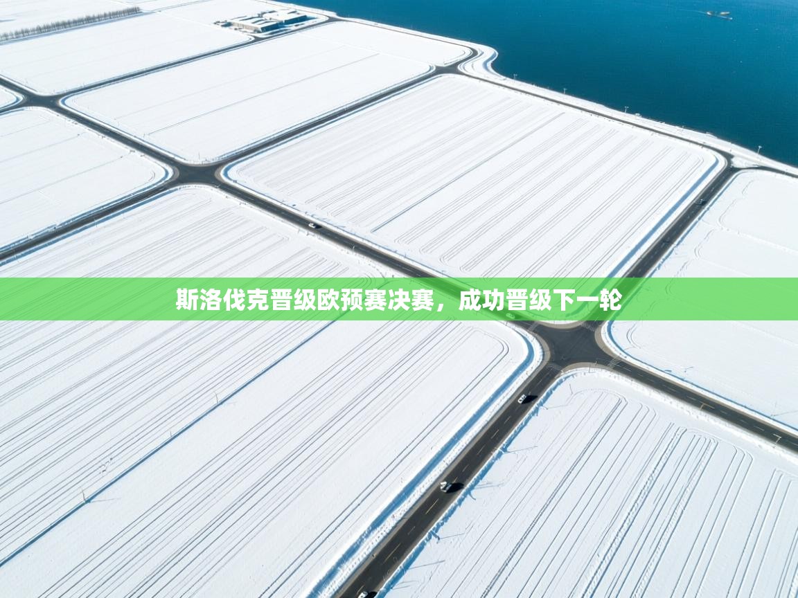 爱游戏体育娱乐-斯洛伐克晋级欧预赛决赛,成功晋级下一轮 第1张