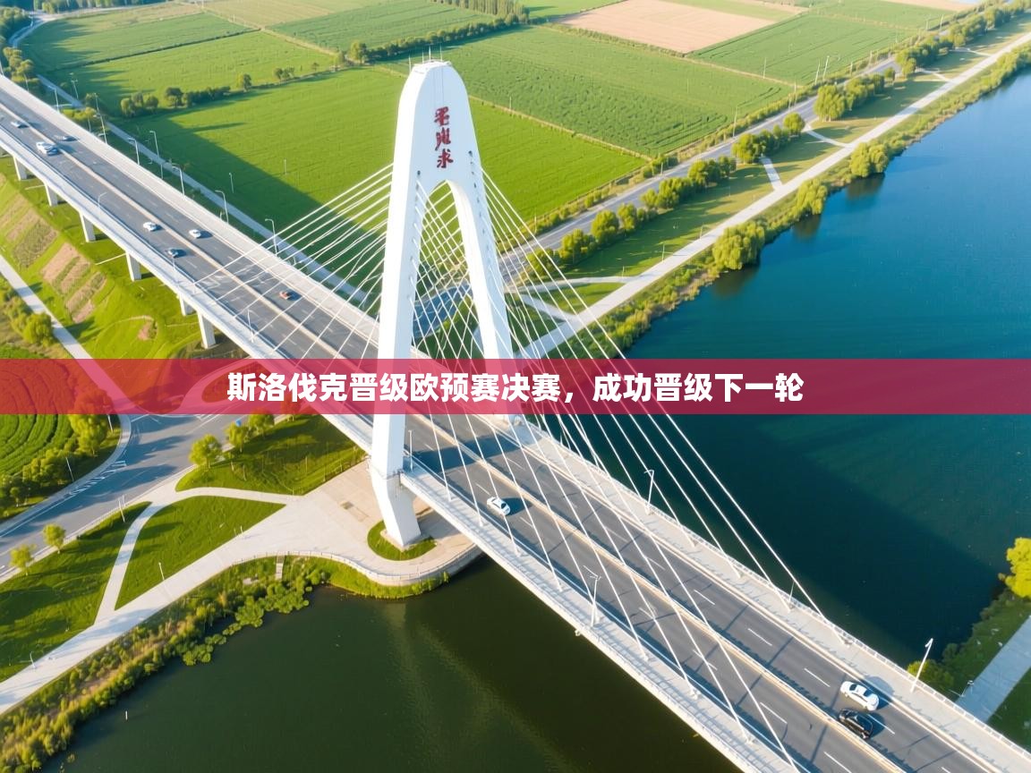 爱游戏体育娱乐-斯洛伐克晋级欧预赛决赛,成功晋级下一轮 第3张