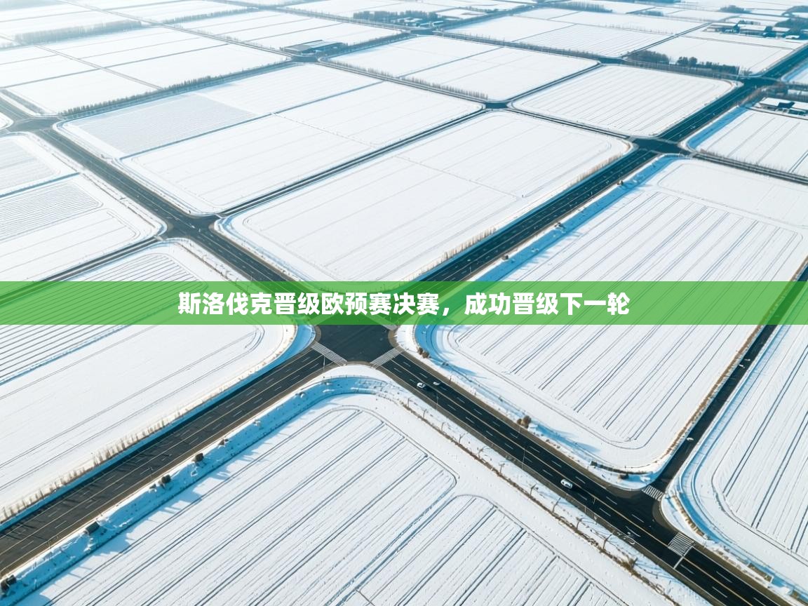 爱游戏体育娱乐-斯洛伐克晋级欧预赛决赛,成功晋级下一轮 第4张