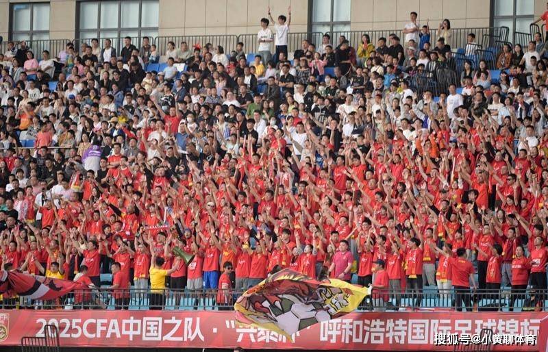 国际足球赛事引人注目，赛场欢呼的简单介绍